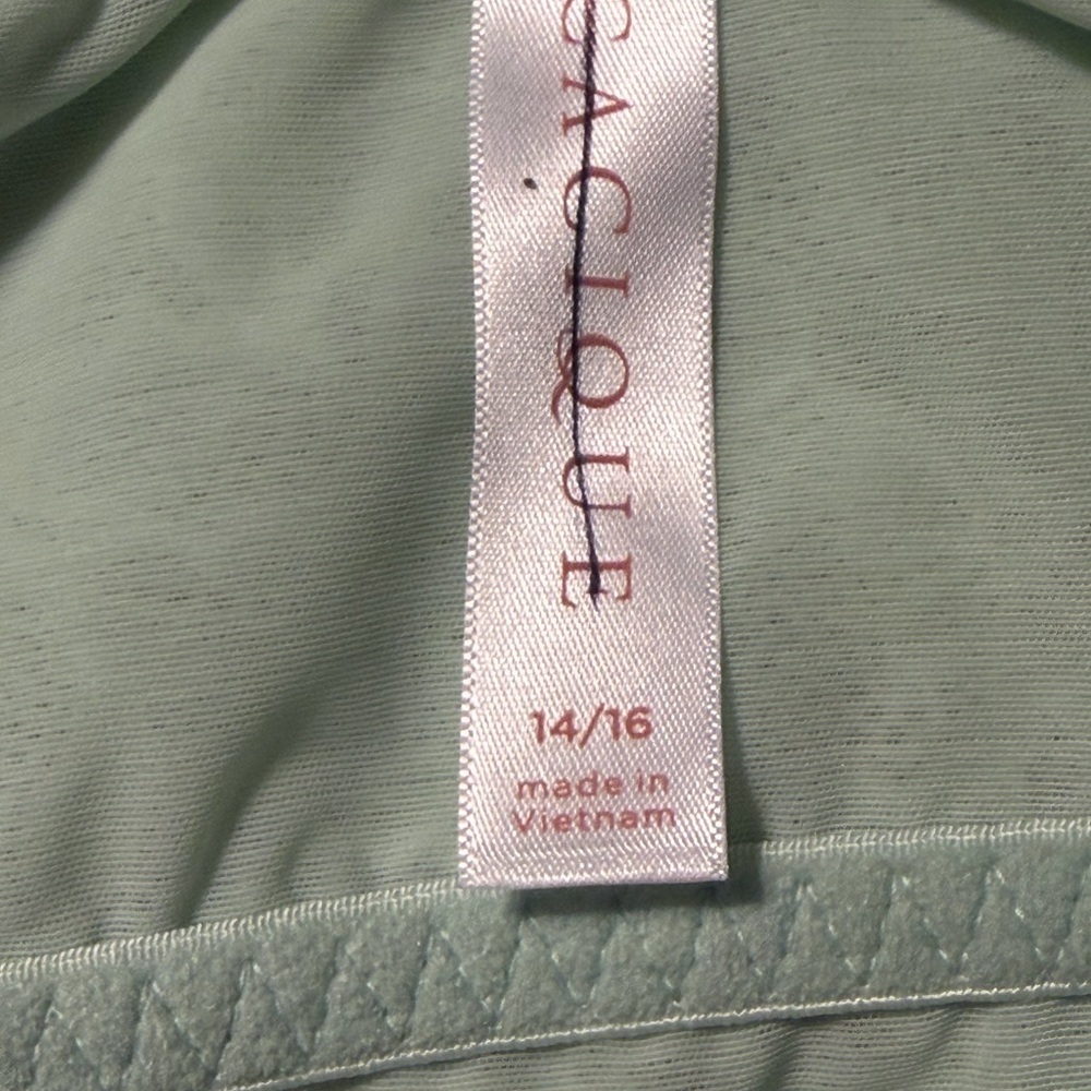 Cacique Lace Longline Bralette in Light Sage - Picture 8 of 8